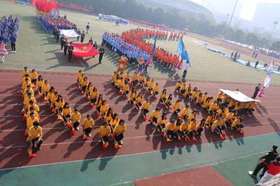 CFBCEA4A1FA02F56F438E13C5F42DD0F